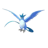 Articuno (Shadow)