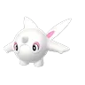 Cetoddle