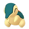Cyndaquil (Shadow)