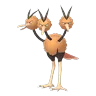 Dodrio
