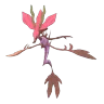 Dragalge