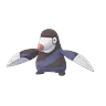 Drilbur (Shadow)