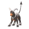Houndoom (Shadow)