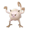 Mankey (Shadow)