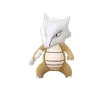 Marowak (Shadow)