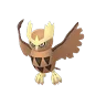 Noctowl