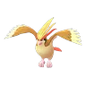 Pidgeot (Shadow)