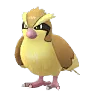 Pidgey