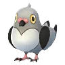 Pidove (Shadow)