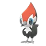 Pikipek (Shadow)