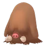 Piloswine (Shadow)