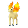 Ponyta (Shadow)