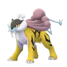 Raikou (Shadow)
