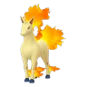 Rapidash (Shadow)