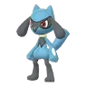 Riolu
