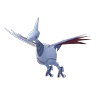 Skarmory (Shadow)